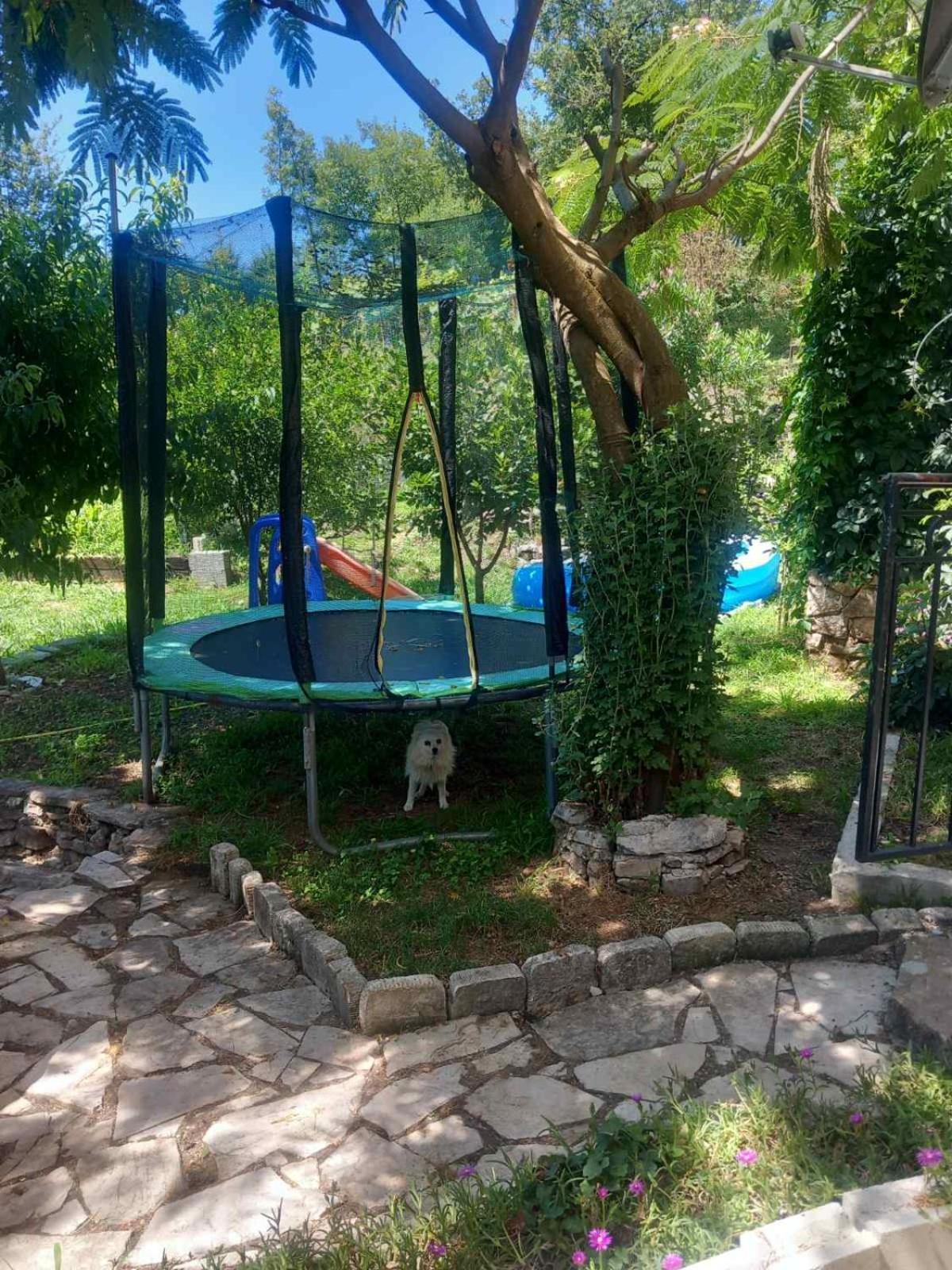 Appartamento Dado Virpazar Esterno foto